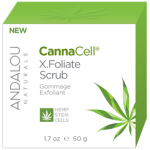 Window & Mirror Cleaner 