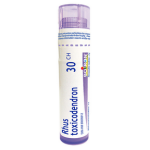 Rhus Toxicodendron 30ch