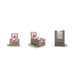 Deodorant - White Tea Leaves