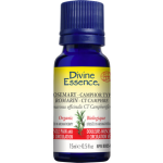 Rosemary - Camphor Type (Organic)