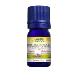 Thyme Red - Thymol (Organic)