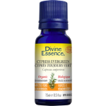 Cypress - Evergreen (Organic)
