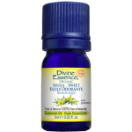 Inula Sweet (Organic)