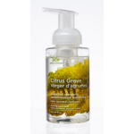 Citrus Grove Foam Hand Wash