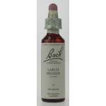 Larch