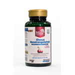 NutraCentials Cissus Quadrangularis