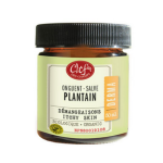 Plantain Salve Organic