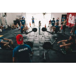 Sports & Nutrition (38)